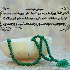 امام علی علیه السلام: 