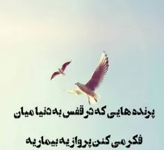 پرنده هایی که در قفس به دنیا میان