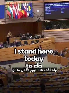 لین بویلان، نماینده ایرلند در پارلمان اروپا: