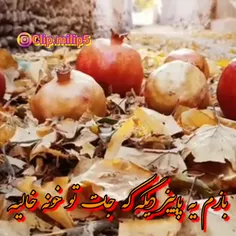 جاده کاری از سعیدپورسعید