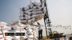 احمد خانی نوذری: دریافت شناسه کالا برای ثبت سفارش برنج ضروری است