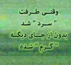 تجربه تلخ زندگی