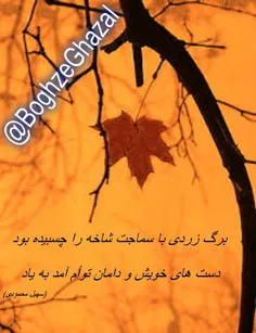 عاشقانه ها majid_54 16678695