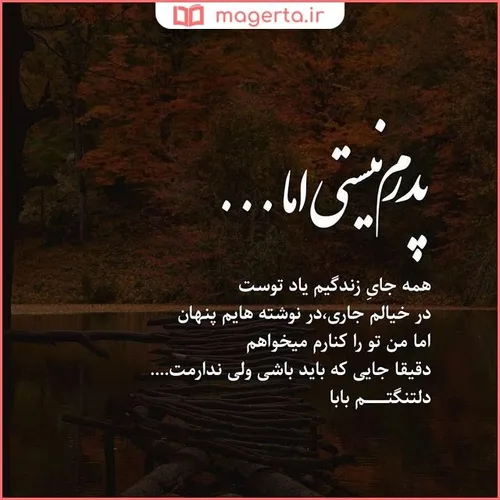  mahbanoo1399 41578141 - عکس ویسگون