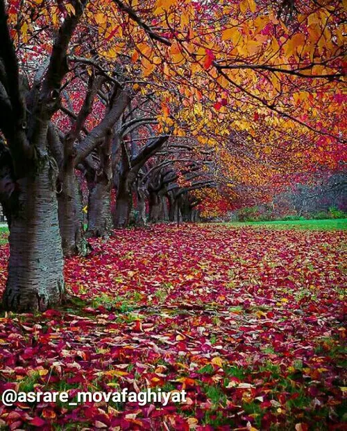 📚 من فکر می کنم آن چه موجب