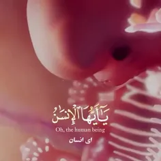 يَا أَيُّهَا الْإِنْسَانُ مَا غَرَّكَ بِرَبِّكَ الْكَرِيم