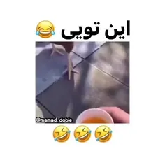 وقتی به مرغ عرق میدی همین میشه دیگه 😂😂😂