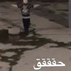 ممدم