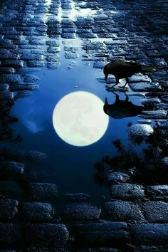 تنها، غمگین، نشسته با ماه .