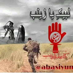 💠 اِذا کانَ المُنادیَ الزِّینَب فَاَهلَا الشَّهادَه