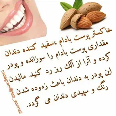 سلامت و تندرستی mariya.ch 8918000