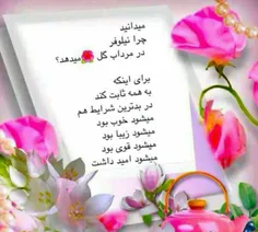 گوناگون leily.s 13598578