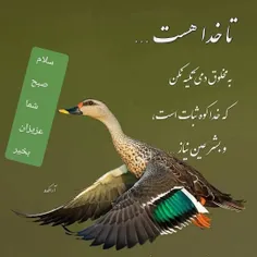 💙بسم الله الرحمن الرحیم💙