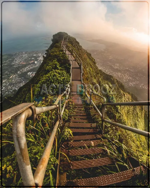 تصویری از 3922 پله در یکی از جزایر هاوایی به نام اوآهو را
