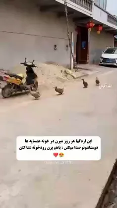 #طنز #خنده_دار #خنده #سرگرمی #ویسگون 