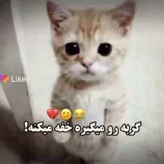 گوربه😂😪🥺