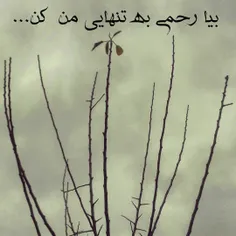 کاش باد مرا می بُرد