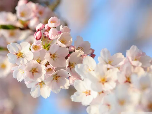 روزهایی هست مثل پیرزن یا پیرمرد خم می شوی