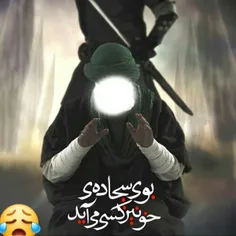 در ظلمت شب نور جلی را کشتند سرچشمه فیض ازلی را کشتند 