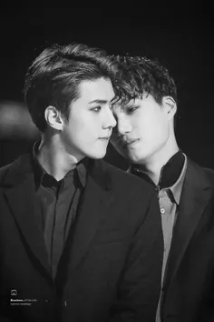 #sekai