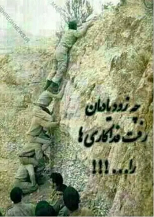 شهدا شرمنده ایم