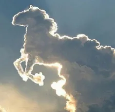 اسب ابری