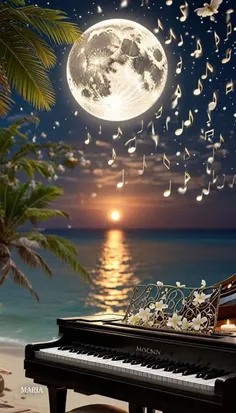شبتون با ارامش 🌙