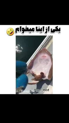 کی مخواد دستش بالا😂