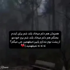 نمیفهمین.... 