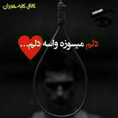 گوناگون mosrfamortazavi 19660694