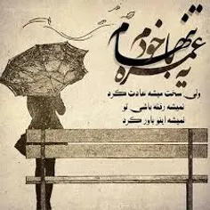 نگاهم که کردی دلم پر گرفت