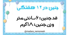 شخصی madare_nemoneeh 27991524