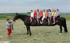 بزرگترین اسب!!!!