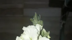 گل سنبل توو حیاط خونمون .