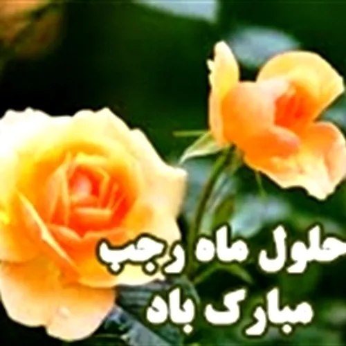  janam_sayedali 45691956 - عکس ویسگون