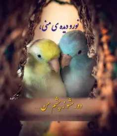 عکس نوشته maryyy 33860476