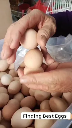 اینم یه روش جدید برای تشخیص تخم مرغ تازه از کهنه