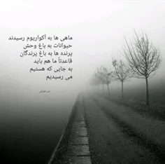 عاشقانه ها zahraparsa 25427201