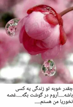 گوناگون hastm_hanooz 28599968