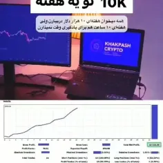 شرکت فارکس خانم امیلیا fx واقعا به افراد زیادی کمک کرده ا