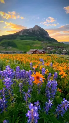 🌞🌈خورشید هر روز طلوع می‌کند در کشاکش ابر و آفتاب 