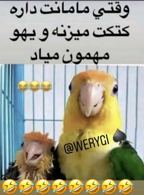 وااای😂