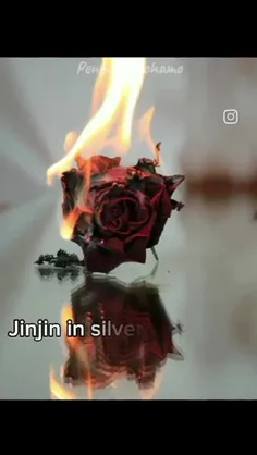 jin jin hot