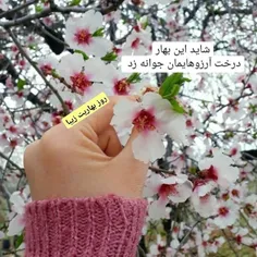 #باران ❣✨سلام‌صبح بهاریتون