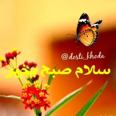 سلام به روی ماهت بهار قشنگم صبحت بخیر عزیزم 😍😘💖💖💖💖💞💞💞💞💞🌺🌺