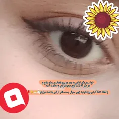 کپشن ها رو حتما بخونید از این به بعد 🐬💮