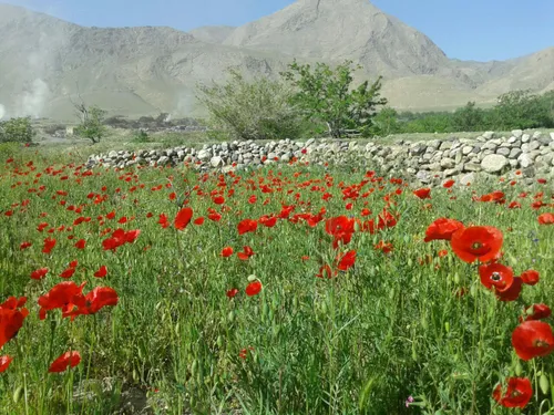 دشت شقایق،روستای مرق کاشان