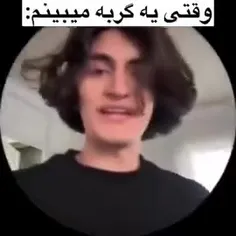 چه گربه ی نازی دارههههه🥺✨🙈