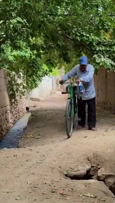 کوچه باغ تفت زیبا