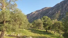 طبیعت زیباو دیدنی  استان ایلام